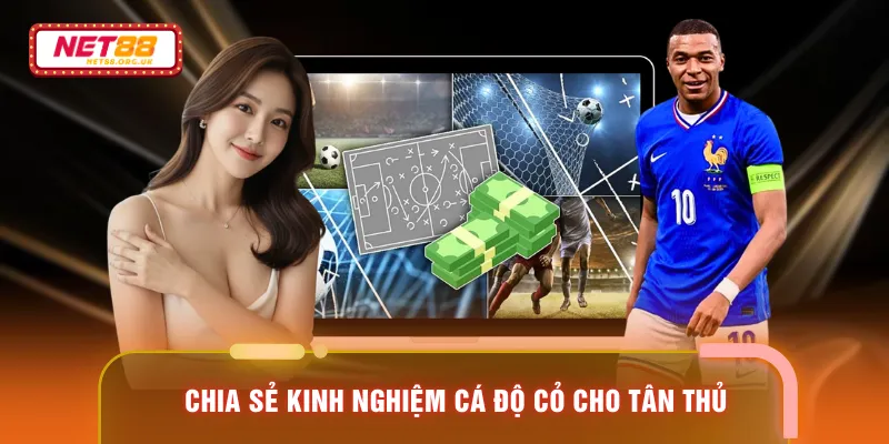 Chia sẻ kinh nghiệm cá độ cỏ cho tân thủ