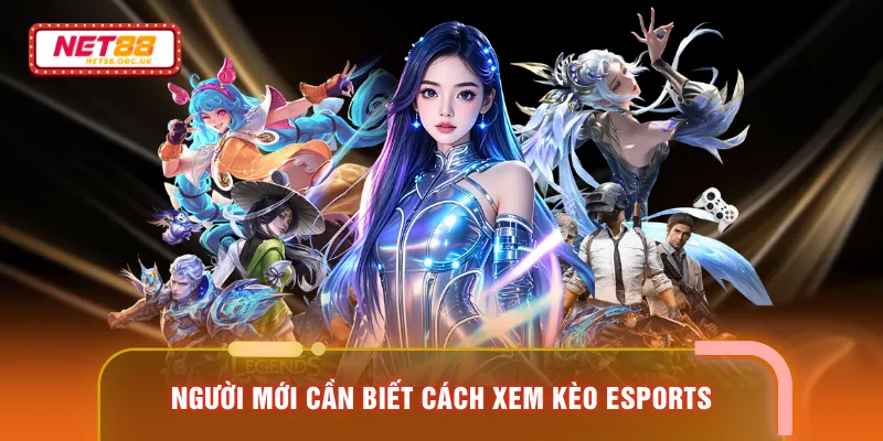 Người mới cần biết cách xem kèo Esports